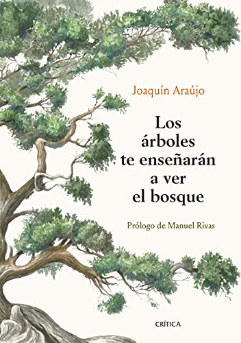 Bosques y Arboles