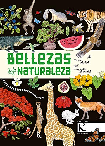 Naturaleza Ciencia y Tecnologa